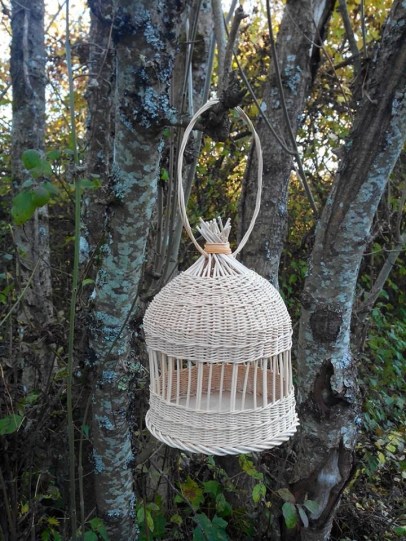 1508097_1716651535230573_1150661336970051638_n